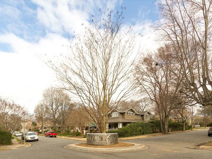 15_HISTORIC_ELIZABETH_530_LAMAR_AVENUE_CHARLOTTE_NC_28204_014_CROPPED