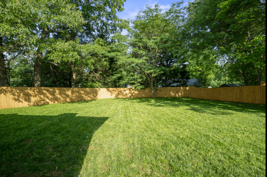 Screenshot 2025-06-11 135320