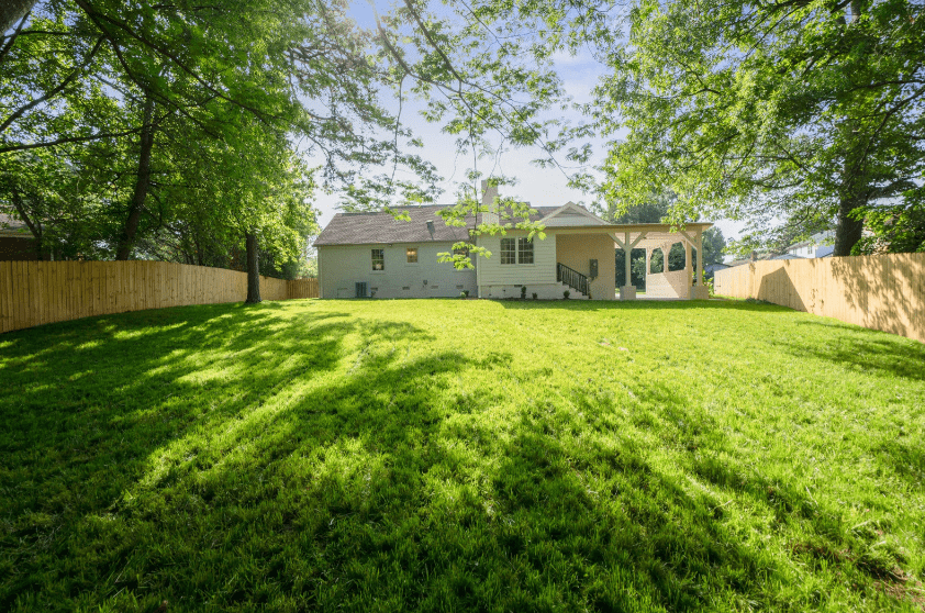 Screenshot 2025-06-11 135023