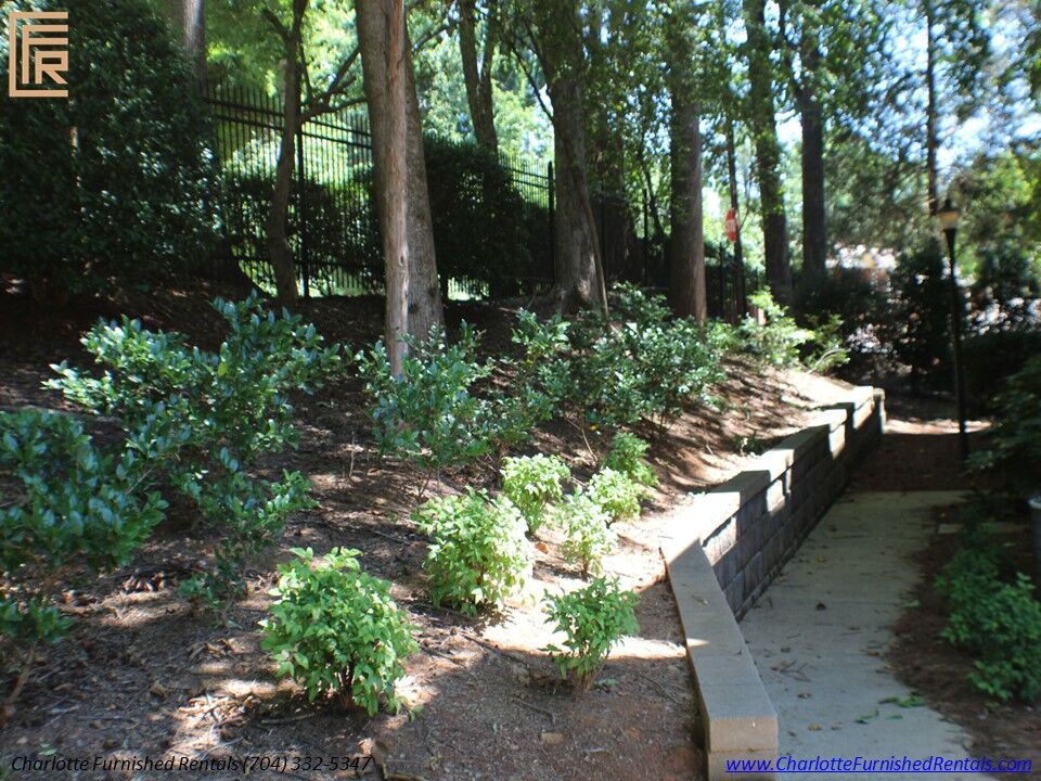 Wooded Community Path | 2510 Cranbrook Lane Unit 20 Wooded community walking path near 2510 Cranbrook Lane Unit 20 Charlotte